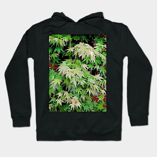 Green leaves with red edge Hoodie